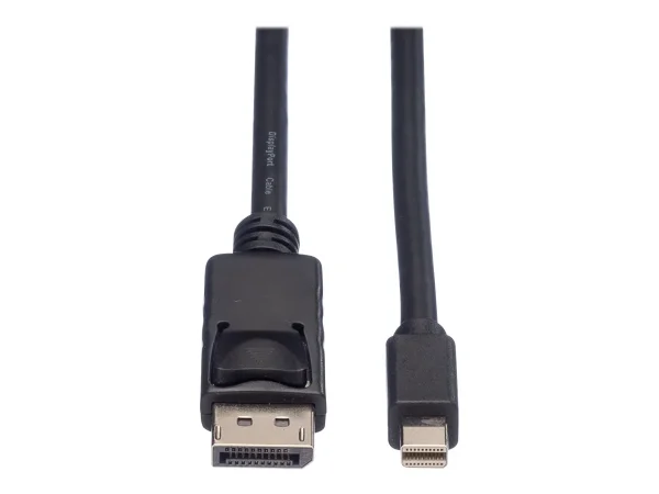 ROLINE DisplayPort Kabel DP ST 1m