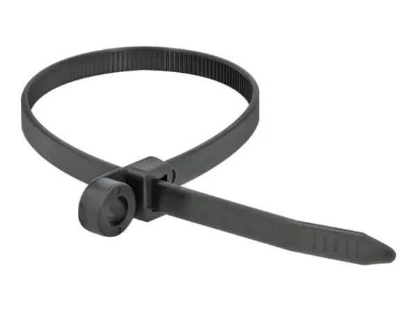 DELOCK Kabelb L 300 x B 7,6mm schw 10St