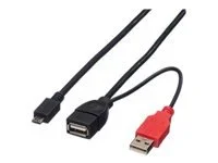 ROLINE USB 2.0 Y-Kabel 2x Typ A 1m