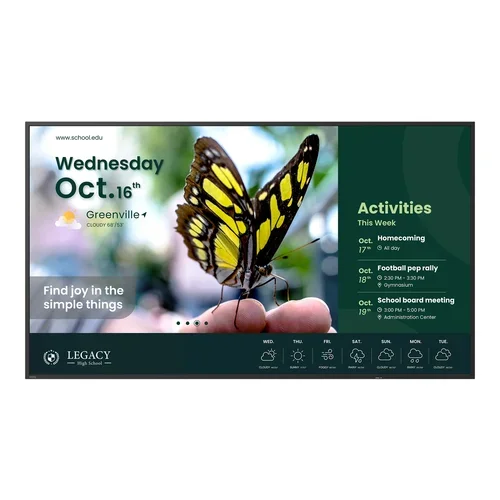 ST6504 65IN 1651CM LFD LED 3840 X 2160 350CD/QM 8MS 18/