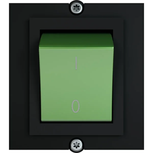 BACHMANN Rahmen 1x Schalter 2-polig grün, Strom 1,0m AEH