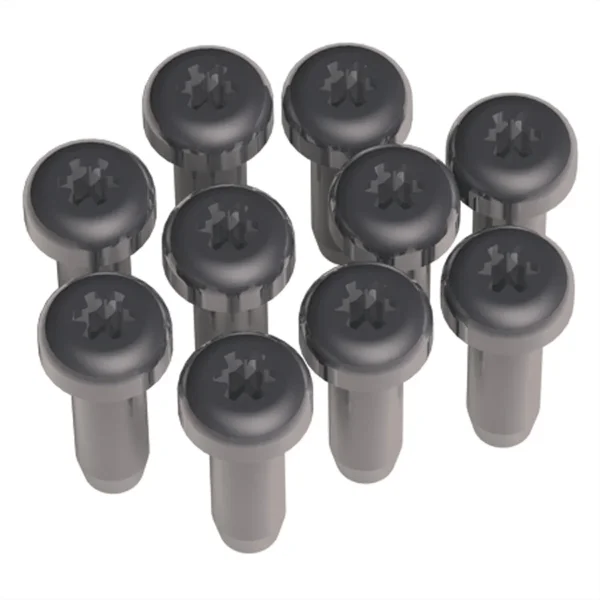 BACHMANN Torx T6 Schrauben für Custom Module, 10 Stk.