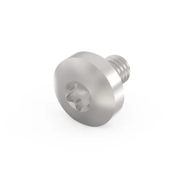 SCHROFF Torx-Linsenkopfschraube - LIKOSHR M4X6 PENTORX (100STK)