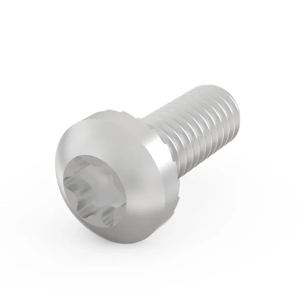 SCHROFF Torx Linsenkopfschraube - NTS MS LINSHR M4X10 100STK