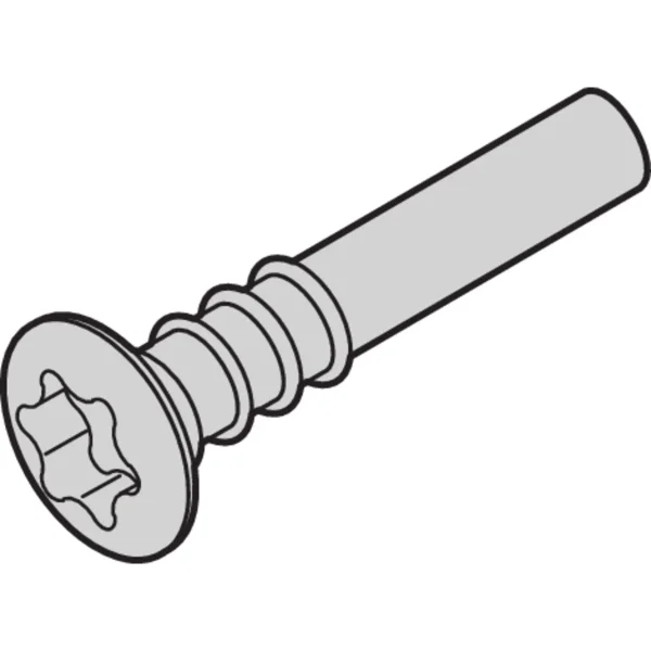 SCHROFF Torx-Linsenkopfschraube - NTS LISESHR TORX3.0X20 100ST