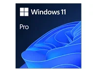 MS ESD Win Pro 11 64-bit