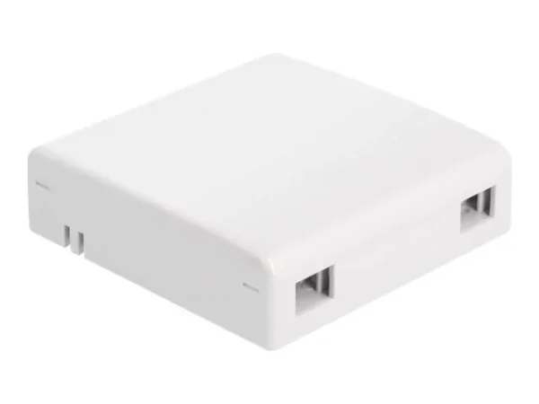 DELOCK LWL Anschlussdose zur Wandmontage