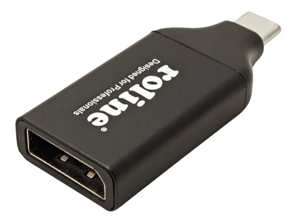 ROLINE Display Adapter USB Typ C - DP