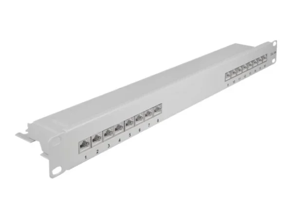 DELOCK 19 Patchpanel 16 Port Cat.6A 1 HE