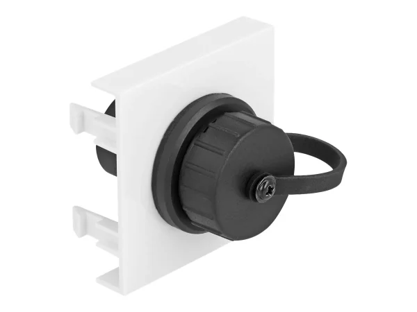 DELOCK Easy 45modul USB Typ-A Buchse