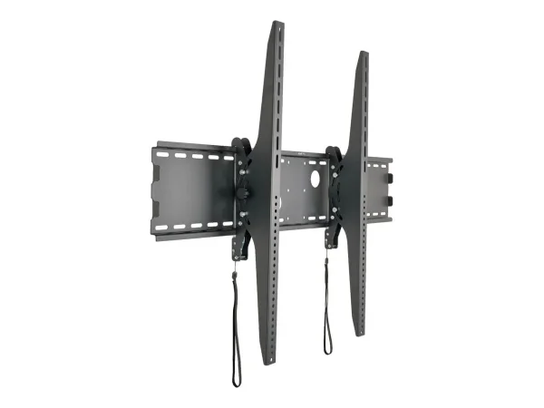 EATON TRIPPLITE Wall Mount