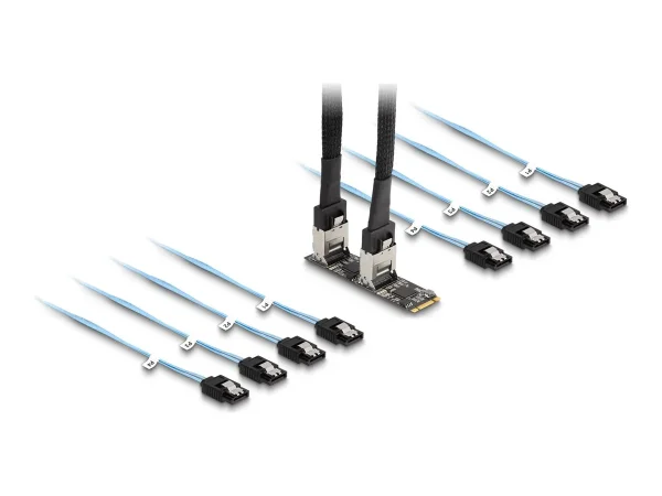 DELOCK Konverter M.2 2280 Key B+M zuSATA