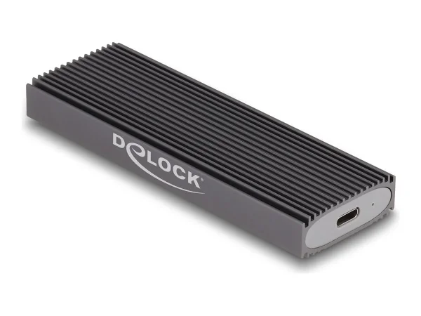 DELOCK Externes USB Type-C Combo Gehäuse