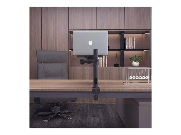 LINDY Adjustable Notebook and Displ Arm