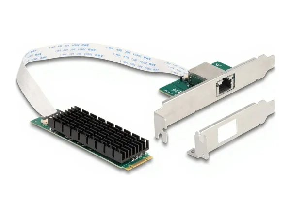 DELOCK M.2 Key B+M 1xRJ45 10 Gigabit LAN