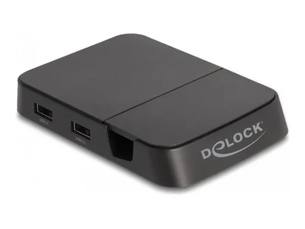 DELOCK Smartphone Dockingstation 4K
