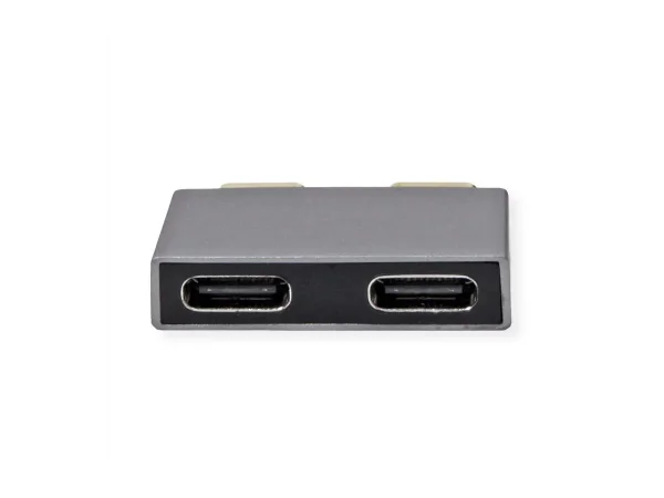 ROLINE USB 3.2 Gen 2 Adapter 2x USB
