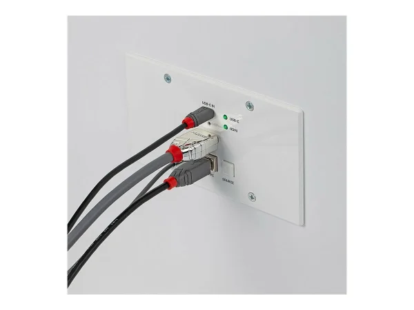 LINDY 150m HDMI & TypeC HDBT EU KVM Ext