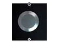 BACHMANN Rahmen 1xTaster Edelstahl