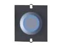 BACHMANN Rahmen 1xTaster Edelstahl