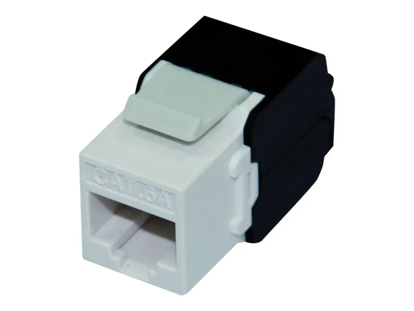 ROLINE Kat.6A Class EA Keystone ungeschi