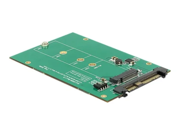 DELOCK Konverter U.2 SFF-8639 > M.2 NGFF
