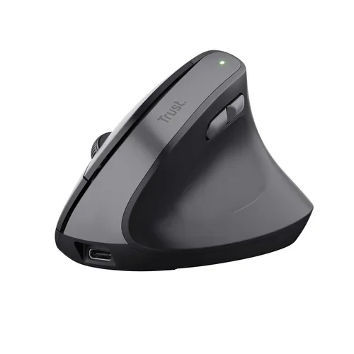 TM-270 Ergonomic Wireless Mouse