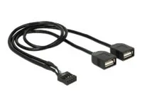 DELOCK USB Kabel Pin Header Buchse > 2 x