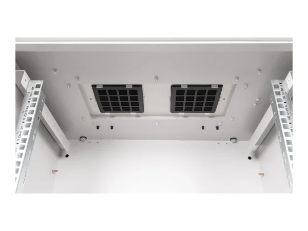 ROLINE 48,26cm Wandgehäuse Pro 20 HE