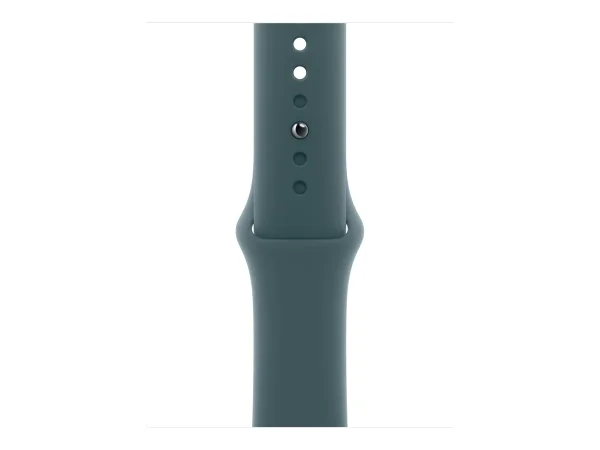 APPLE 42mm Lake Green Sport Band S/M