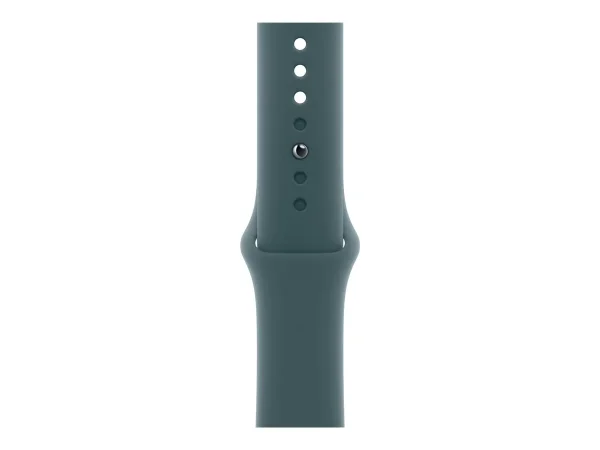 APPLE 46mm Lake Green Sport Band S/M