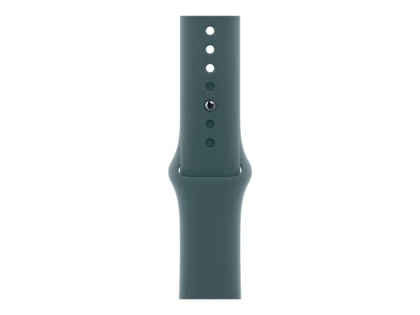 APPLE 46mm Lake Green Sport Band M/L