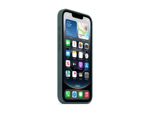 APPLE iPhone 16e Silicone Case Lake Gr