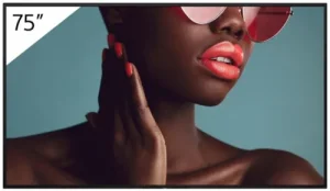 FW-75BZ40L 75INCH PRO BRAVIA LCD 700NIT HAZE