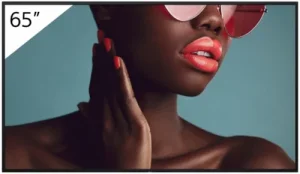 FW-65BZ40L 65INCH PRO BRAVIA LCD 700NIT HAZE