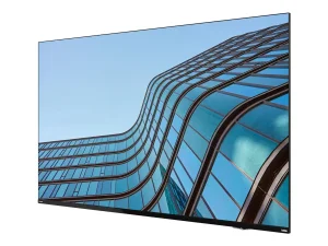 LENOVO ThinkVision E55 LFD 139,7cm TS