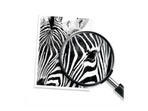 HP 937e EvoMore Black Org Ink Cartridge