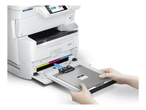 EPSON WorkForce Pro EM/EP-C800R 50K