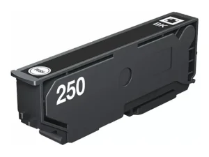 EPSON Singlepack Black 250 ink