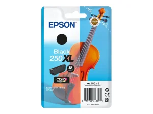 EPSON Singlepack Black 250XL ink