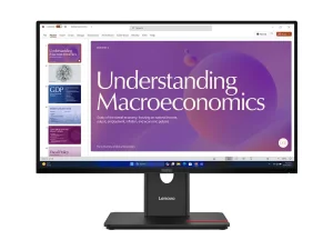LENOVO ThinkVision T24D-40 60,45cm TS