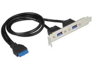 Delock Slotblech 2x USB3.0 extern