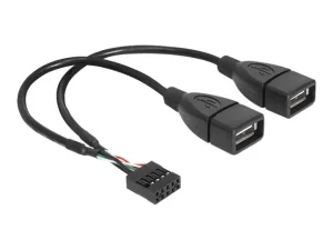 DELOCK Kabel USB Pinheader>USB-A 2x 20cm