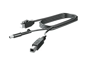 HP 300cm DP+USB PWR CABLE