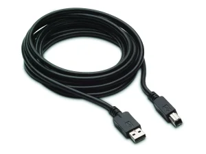 HP 300cm DP+USB B-A CABLES