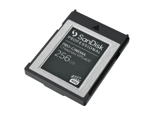 SANDISK Prof. PRO-CINEMA 256GB CFexpres