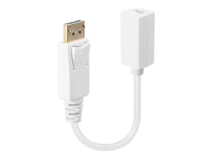LINDY DisplayPort: DP(M) Mini-DP(F)