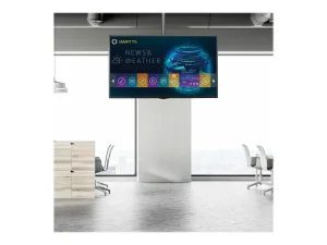 STARTECH Flatscreen Deckenhalterung