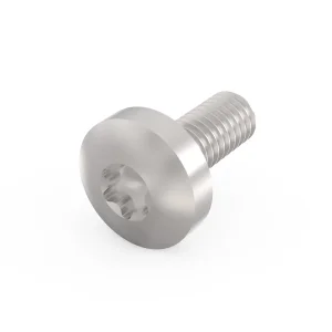 SCHROFF Linsenkopfschraube mit Torx - TORX-LINSKOSCHR M4X10 100ST