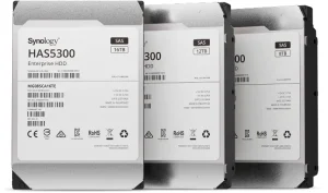 Synology HAS5300-12T Interne Festplatte 12 TB 7200 RPM 256 MB 3.5" SAS